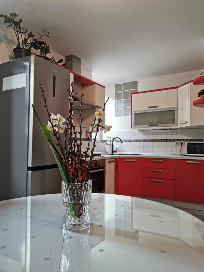 Apartment Terassin Koper Zewnętrze zdjęcie