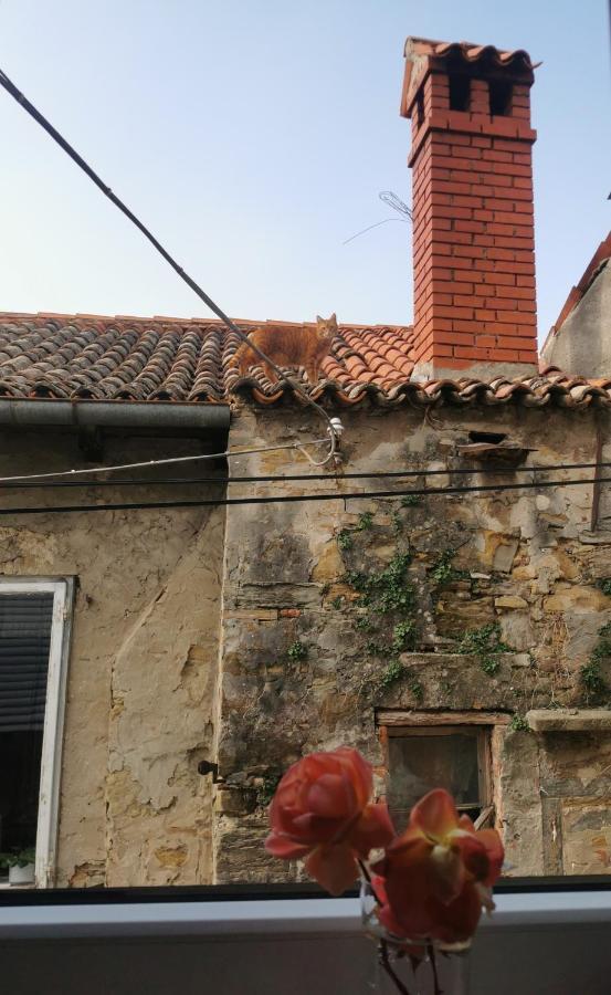 Apartment Terassin Koper Zewnętrze zdjęcie